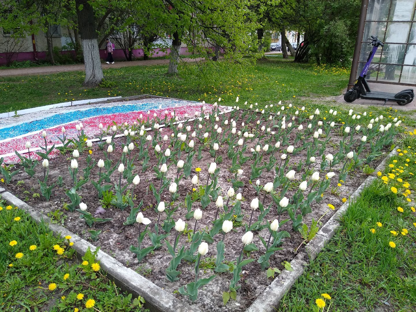 Раменское, благоустройство, цветники