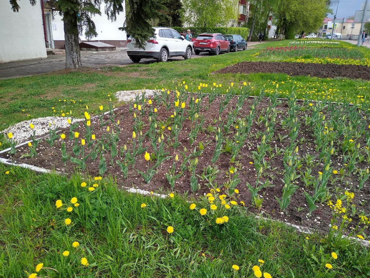 Раменское, благоустройство, цветники