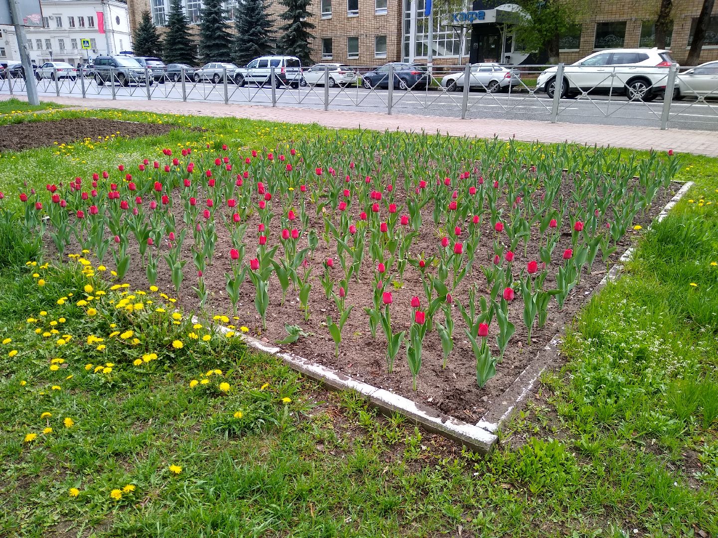 Раменское, благоустройство, цветники