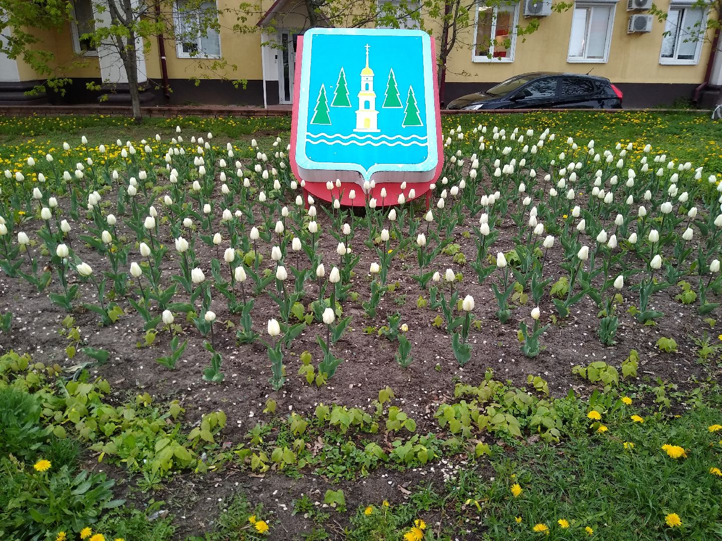 Раменское, благоустройство, цветники