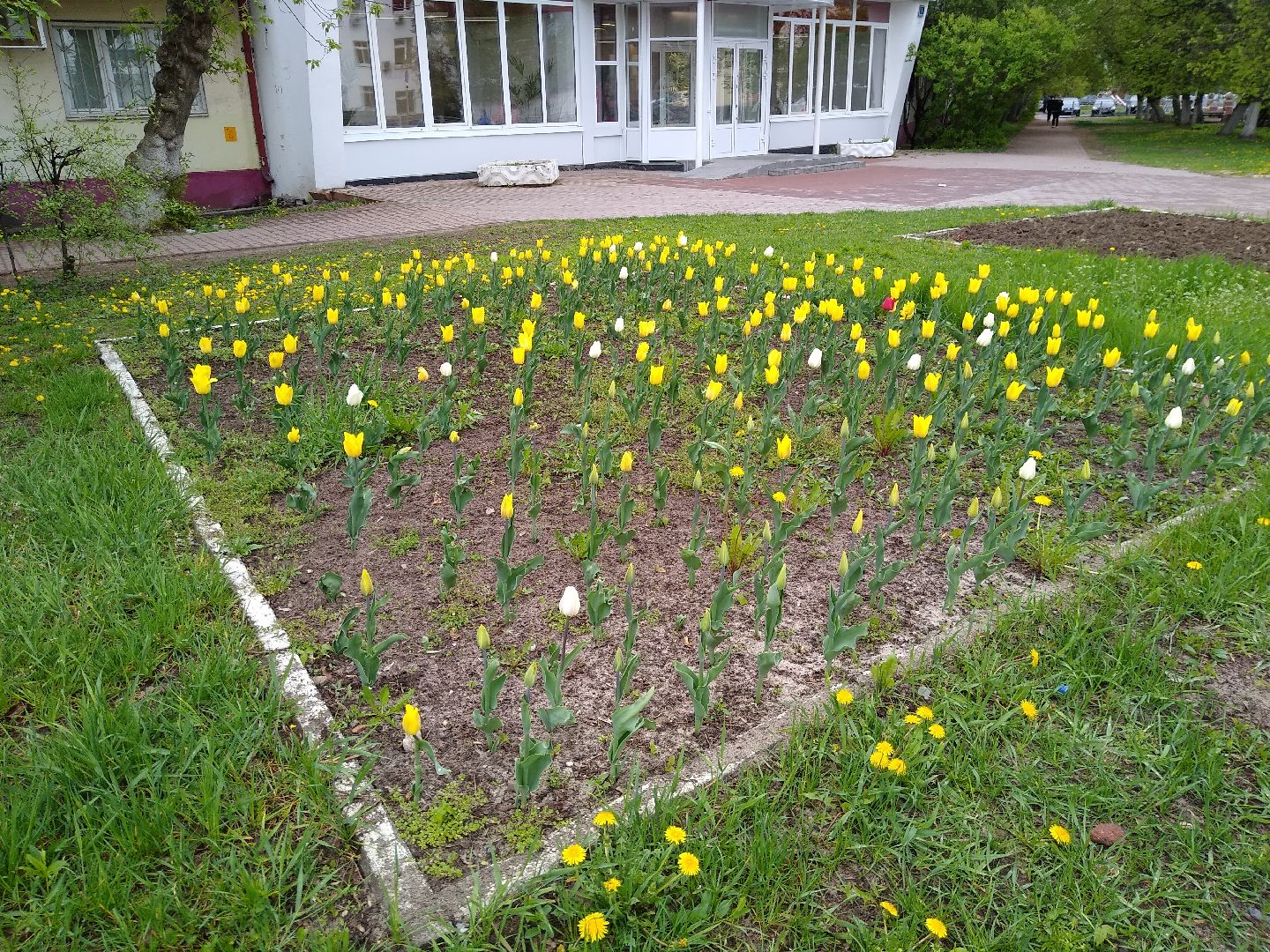 Раменское, благоустройство, цветники