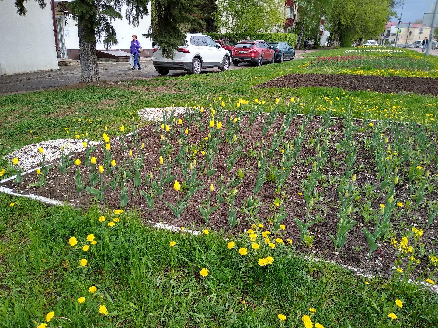 Раменское, благоустройство, цветники
