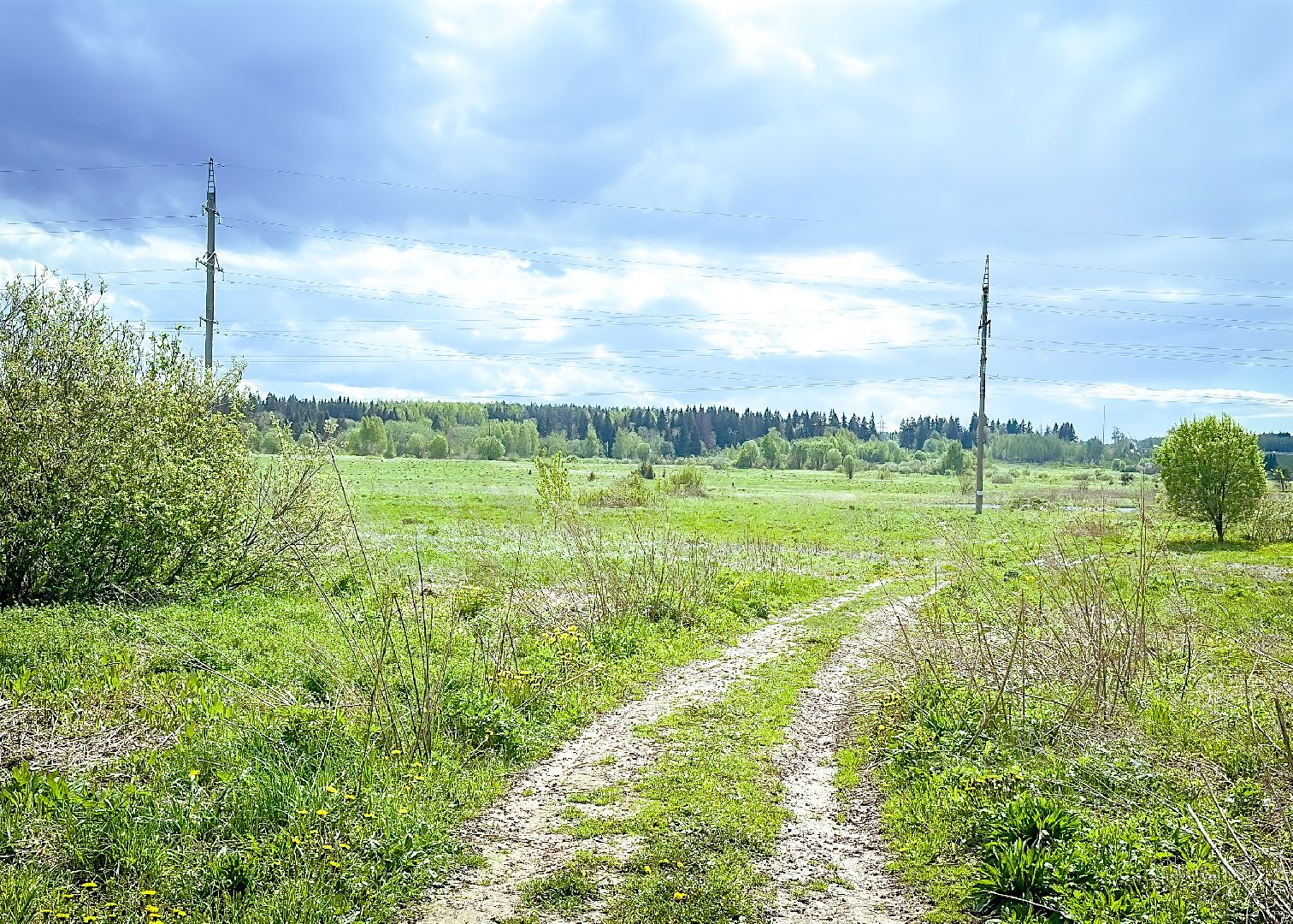 клин, экономика, сельское хозяйство, обработка от борщевика,