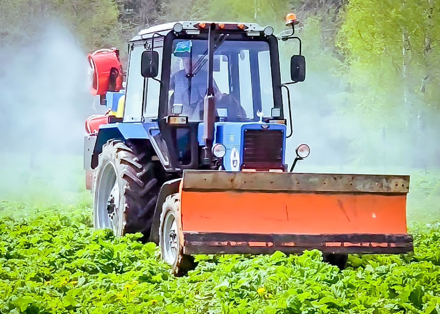 клин, экономика, сельское хозяйство, обработка от борщевика,