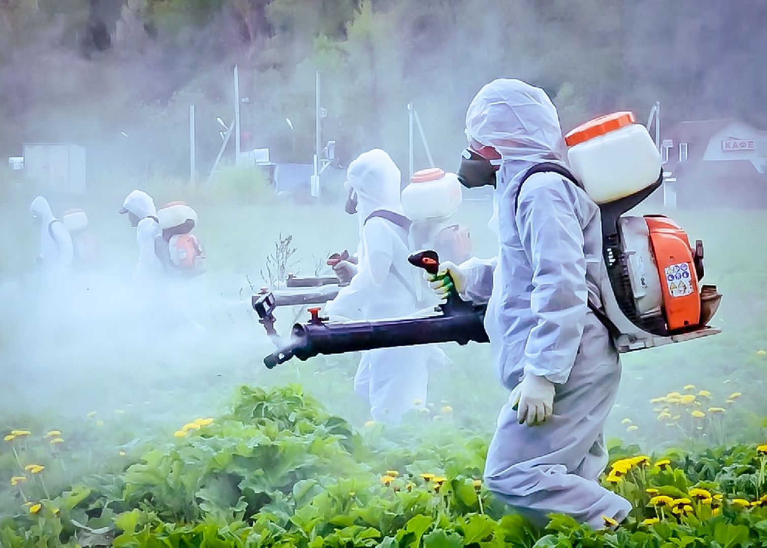 клин, экономика, сельское хозяйство, обработка от борщевика,