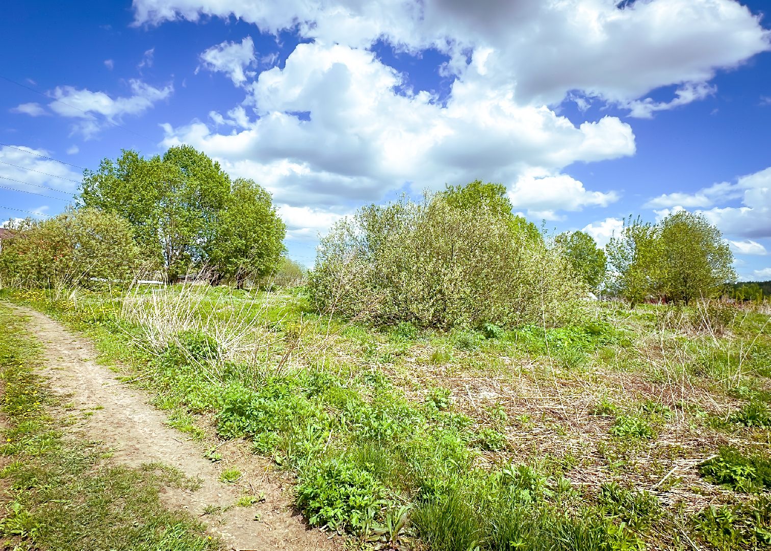 клин, экономика, сельское хозяйство, обработка от борщевика,