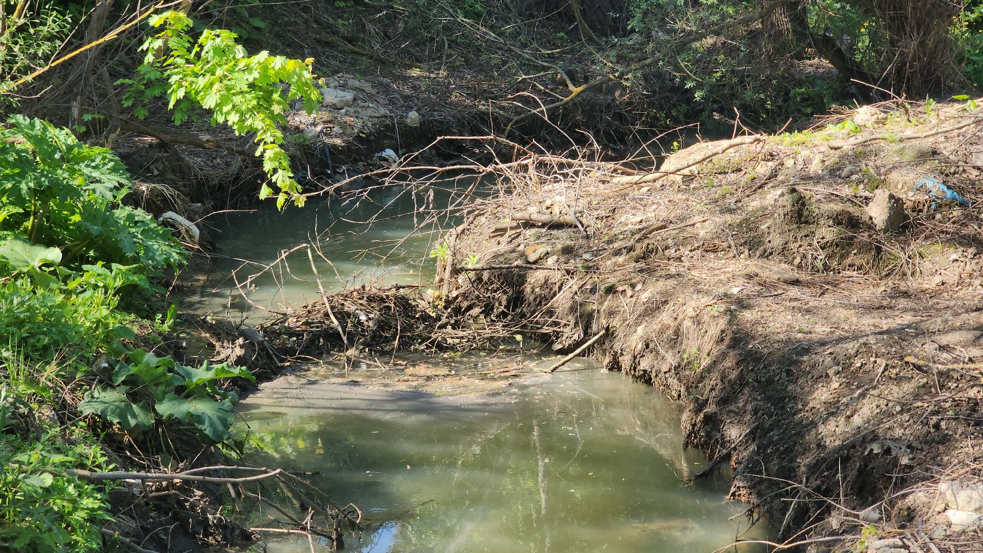 выездная, жкх, жители, власть,