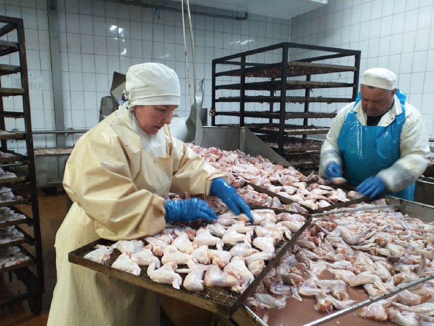 производство, нацпроект, производительность труда, экономика, Лосино-Петровский