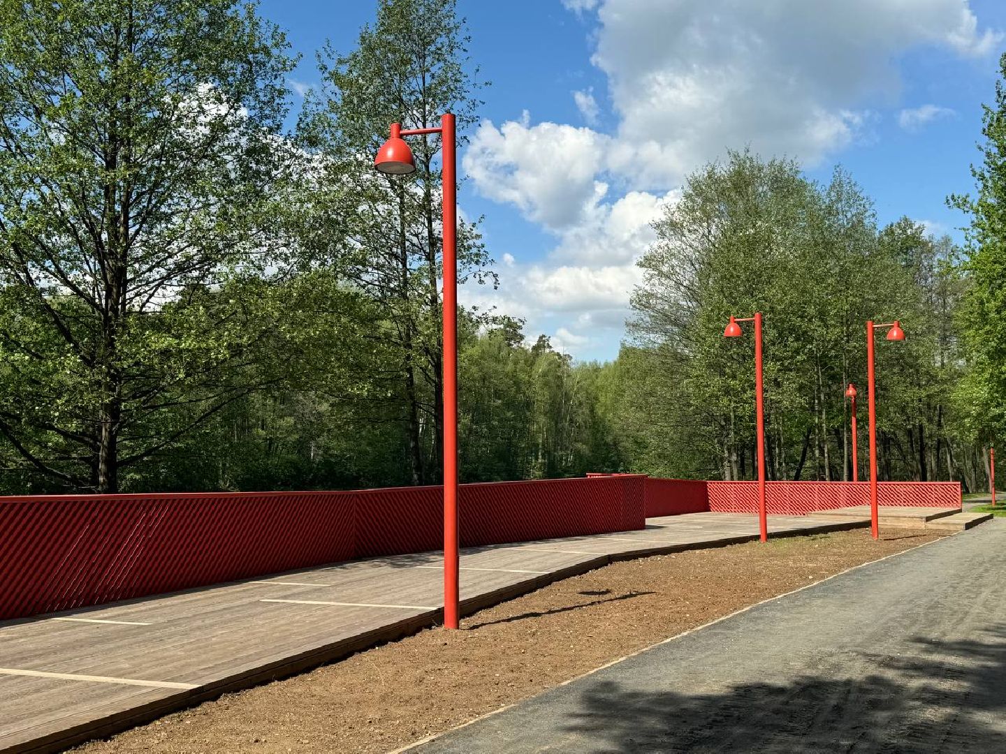 кучинский лесопарк, благоустройсво, первый этап,