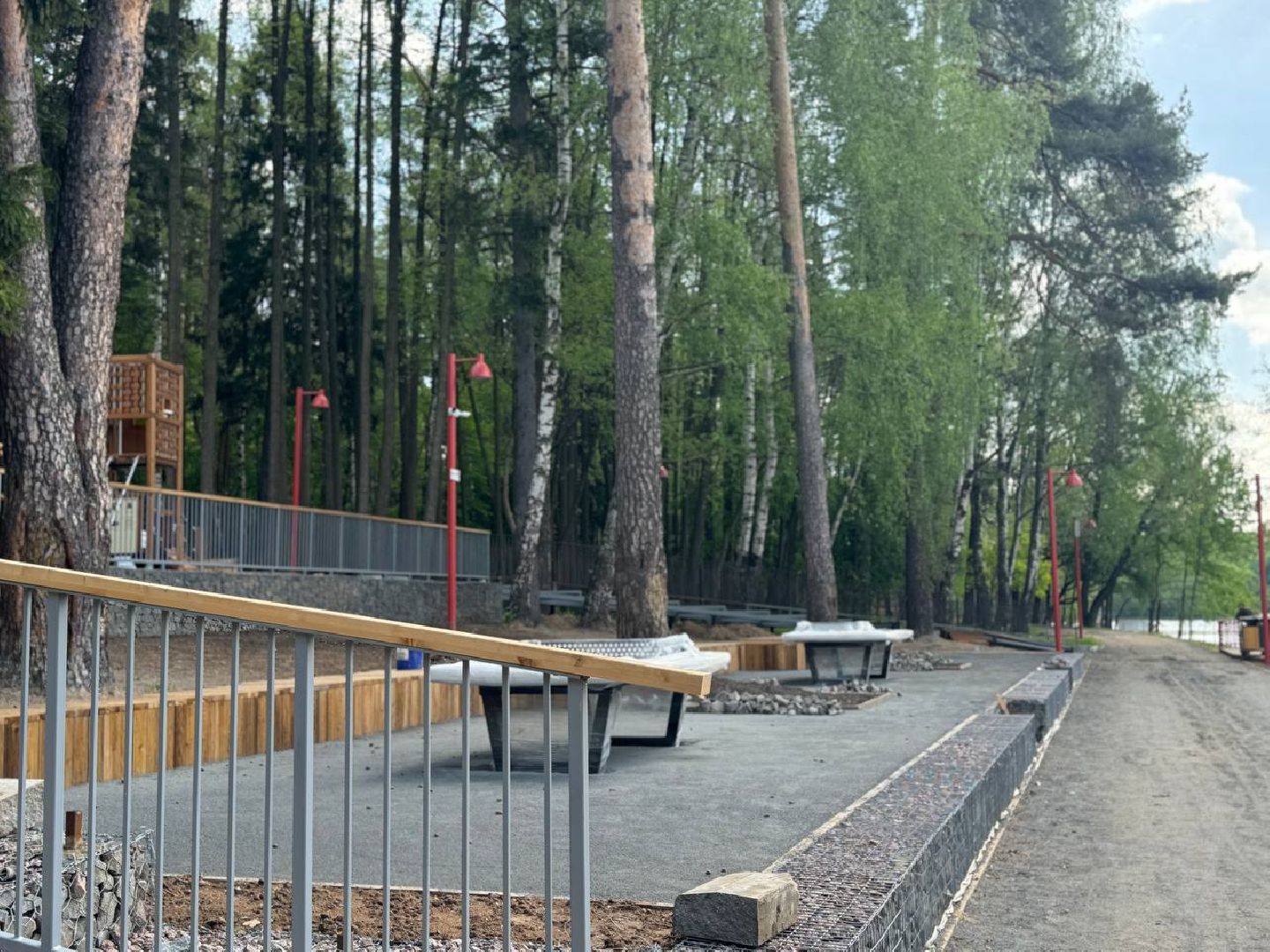 кучинский лесопарк, благоустройсво, первый этап,