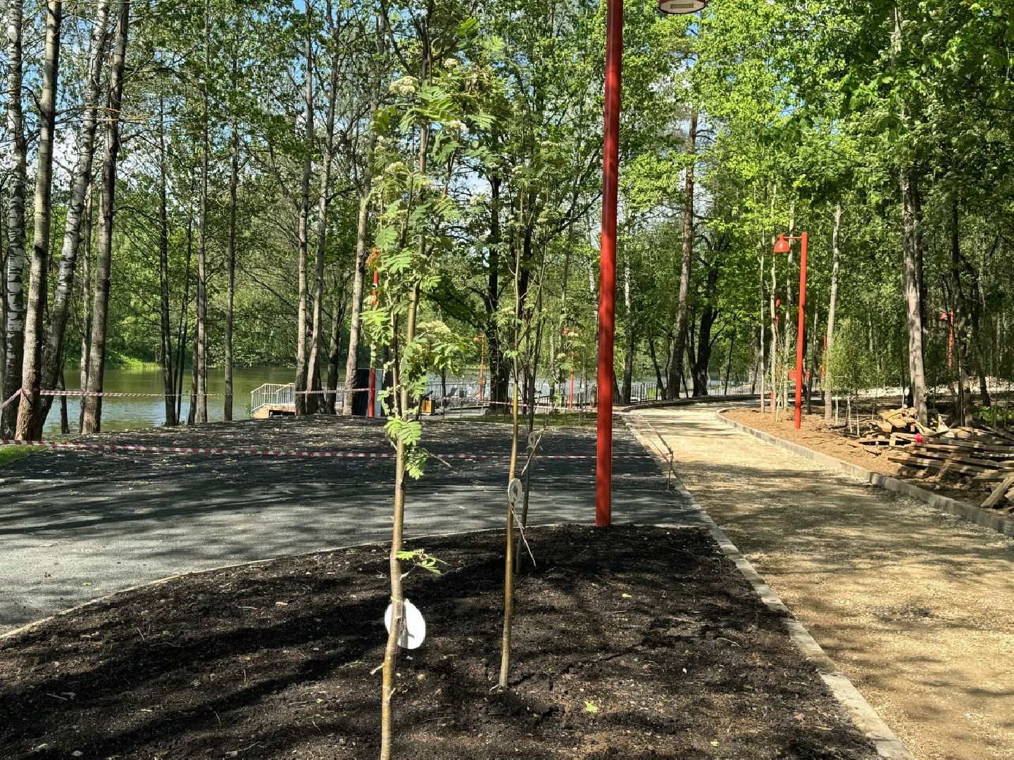 кучинский лесопарк, благоустройсво, первый этап,