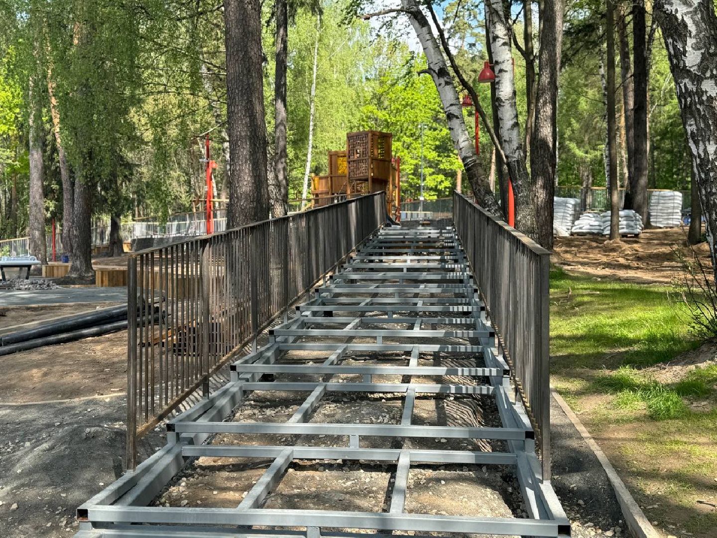 кучинский лесопарк, благоустройсво, первый этап,