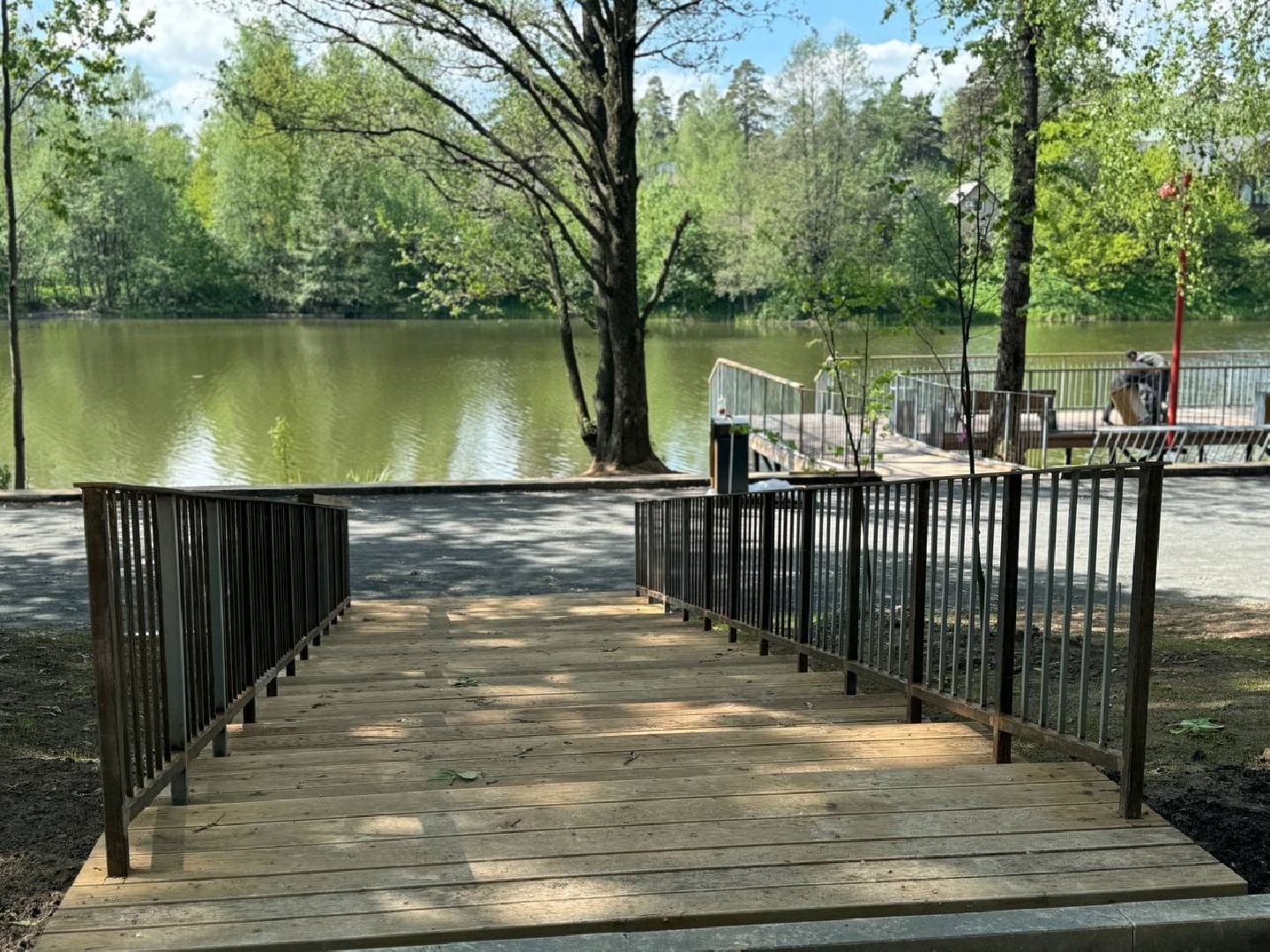 кучинский лесопарк, благоустройсво, первый этап,