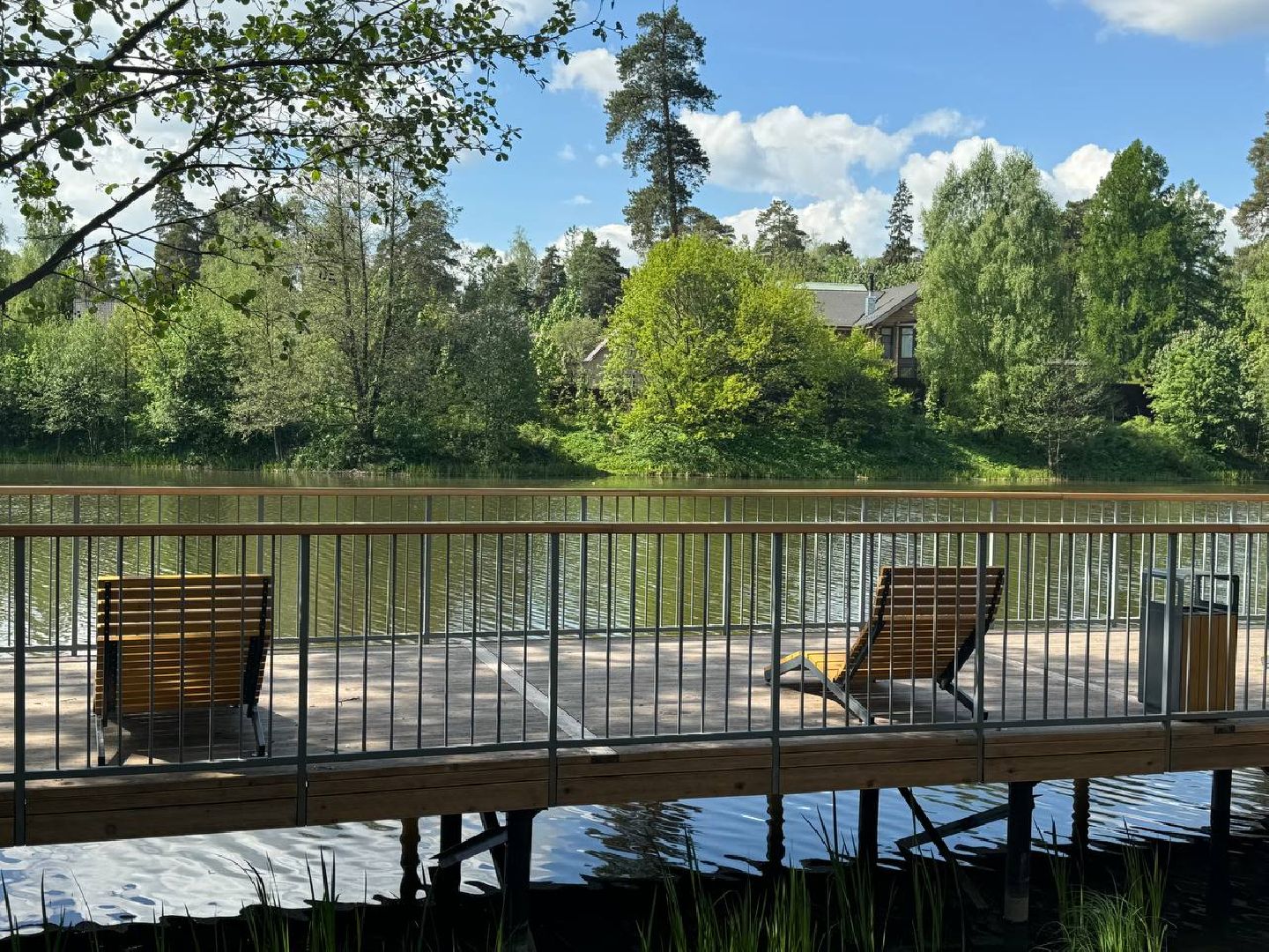 кучинский лесопарк, благоустройсво, первый этап,