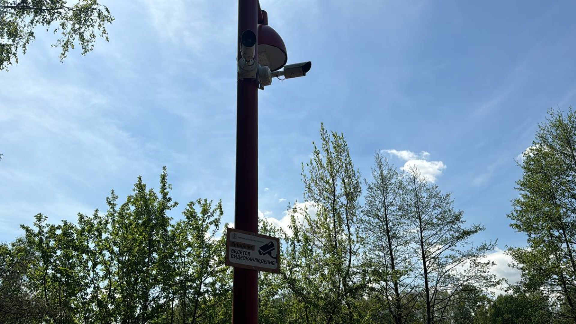 кучинский лесопарк, благоустройсво, первый этап,