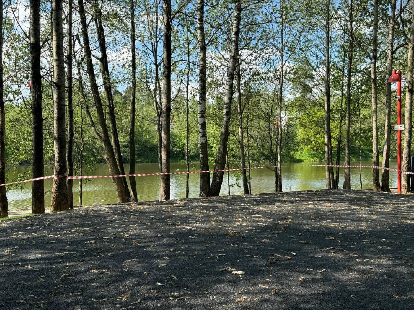 кучинский лесопарк, благоустройсво, первый этап,