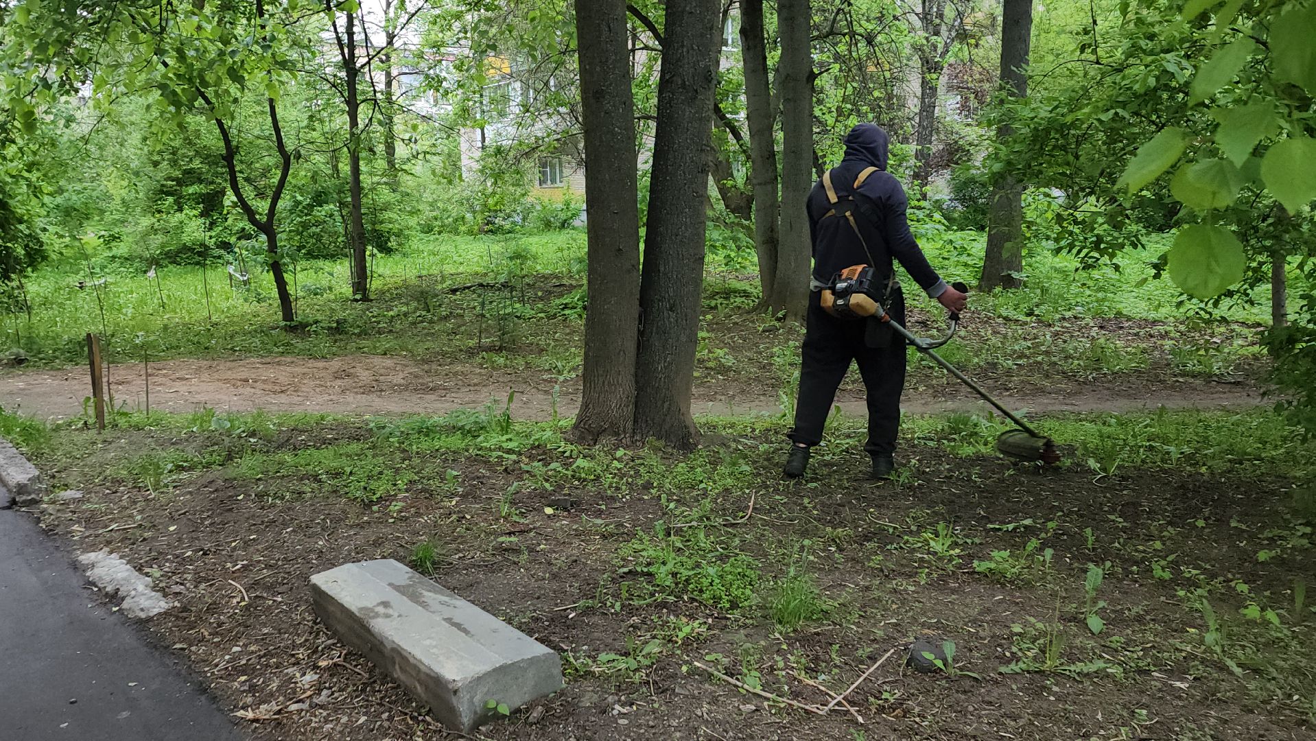 пушкинский округ, пушкино, вертикалки, покос травы, западный, микрорайон, коммунальная служба,