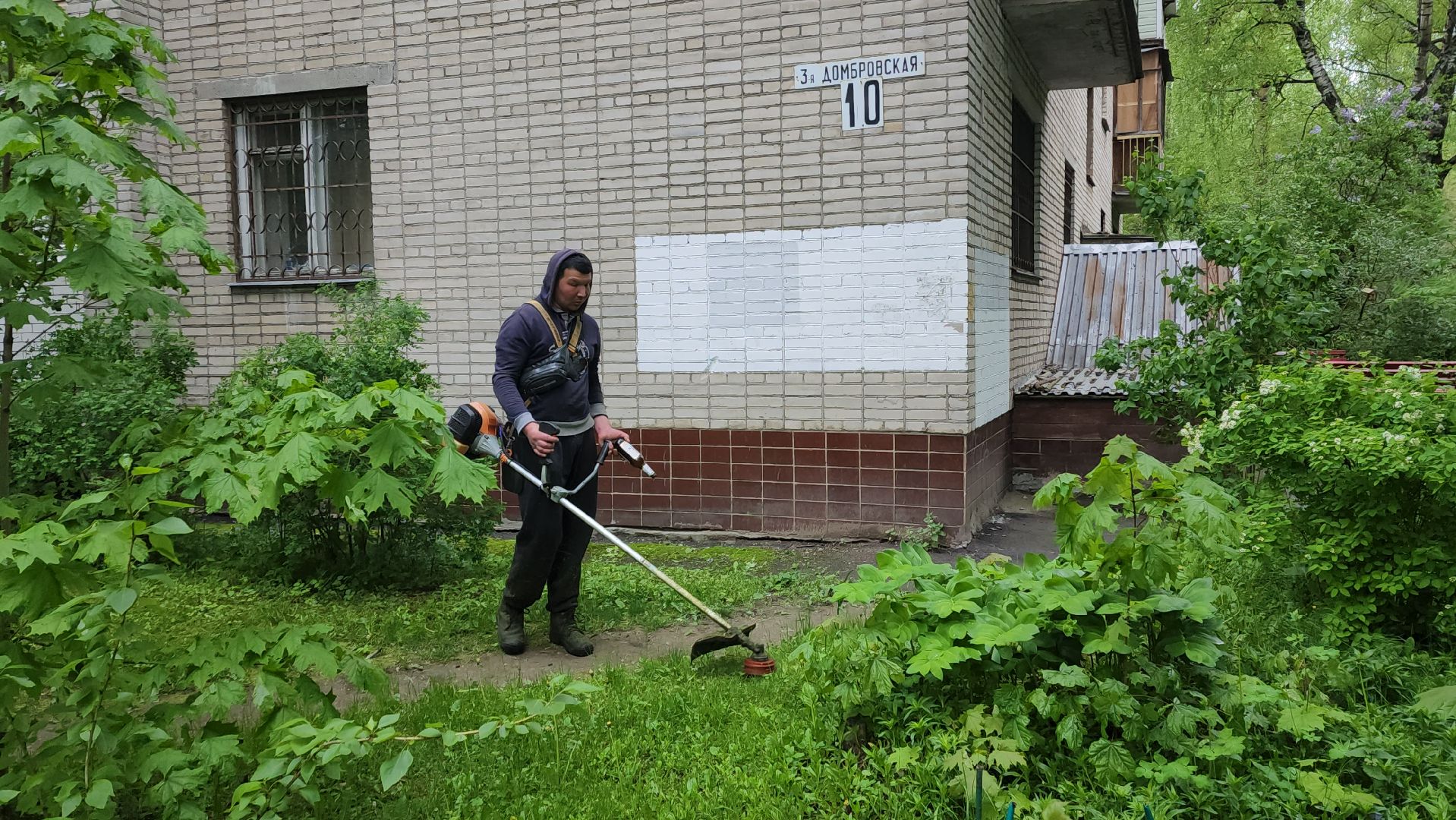 пушкинский округ, пушкино, вертикалки, покос травы, западный, микрорайон, коммунальная служба,