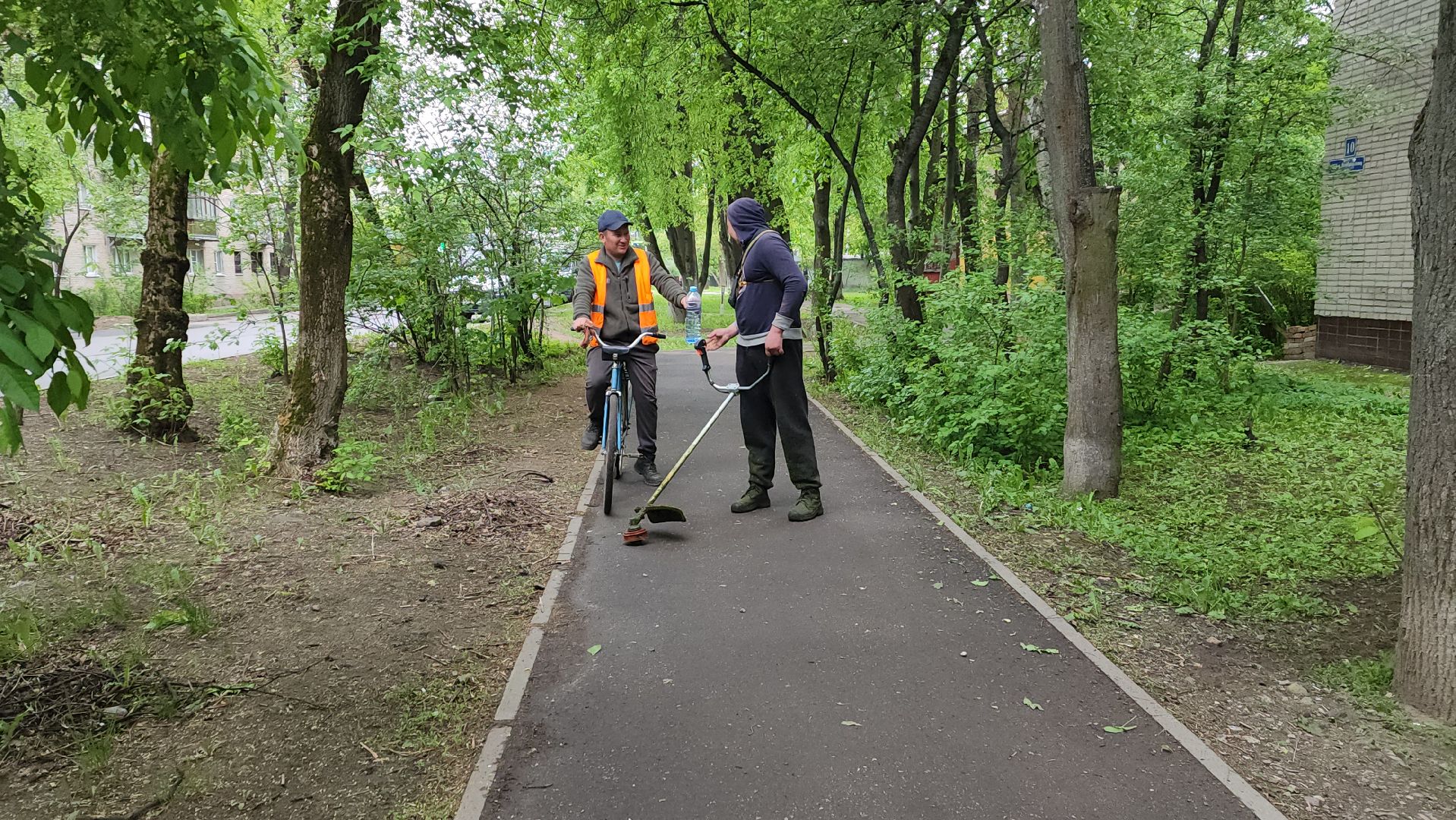 пушкинский округ, пушкино, вертикалки, покос травы, западный, микрорайон, коммунальная служба,