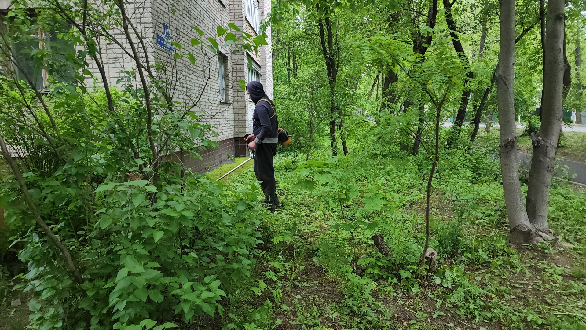 пушкинский округ, пушкино, вертикалки, покос травы, западный, микрорайон, коммунальная служба,