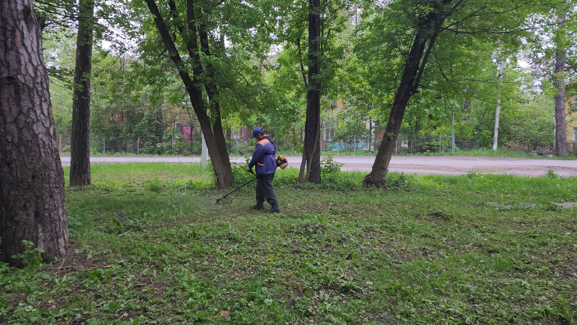 пушкинский округ, пушкино, вертикалки, покос травы, западный, микрорайон, коммунальная служба,