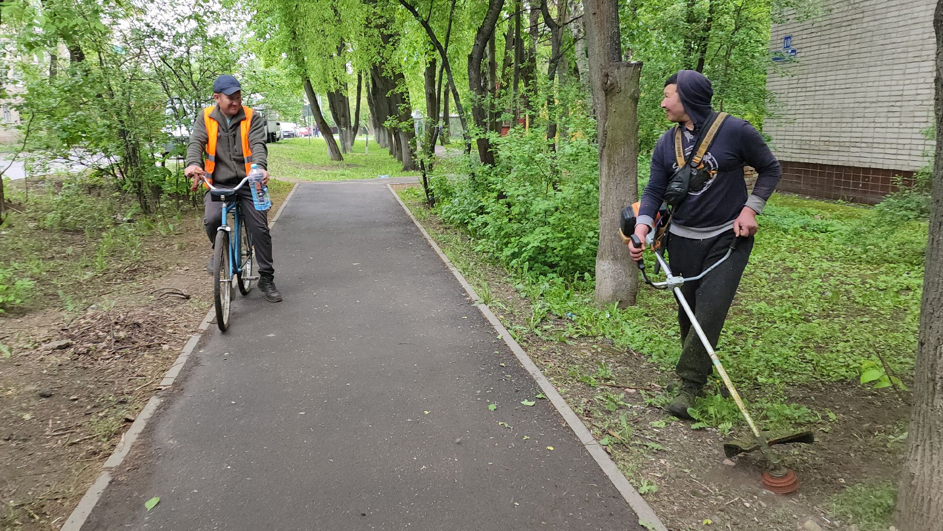 пушкинский округ, пушкино, вертикалки, покос травы, западный, микрорайон, коммунальная служба,
