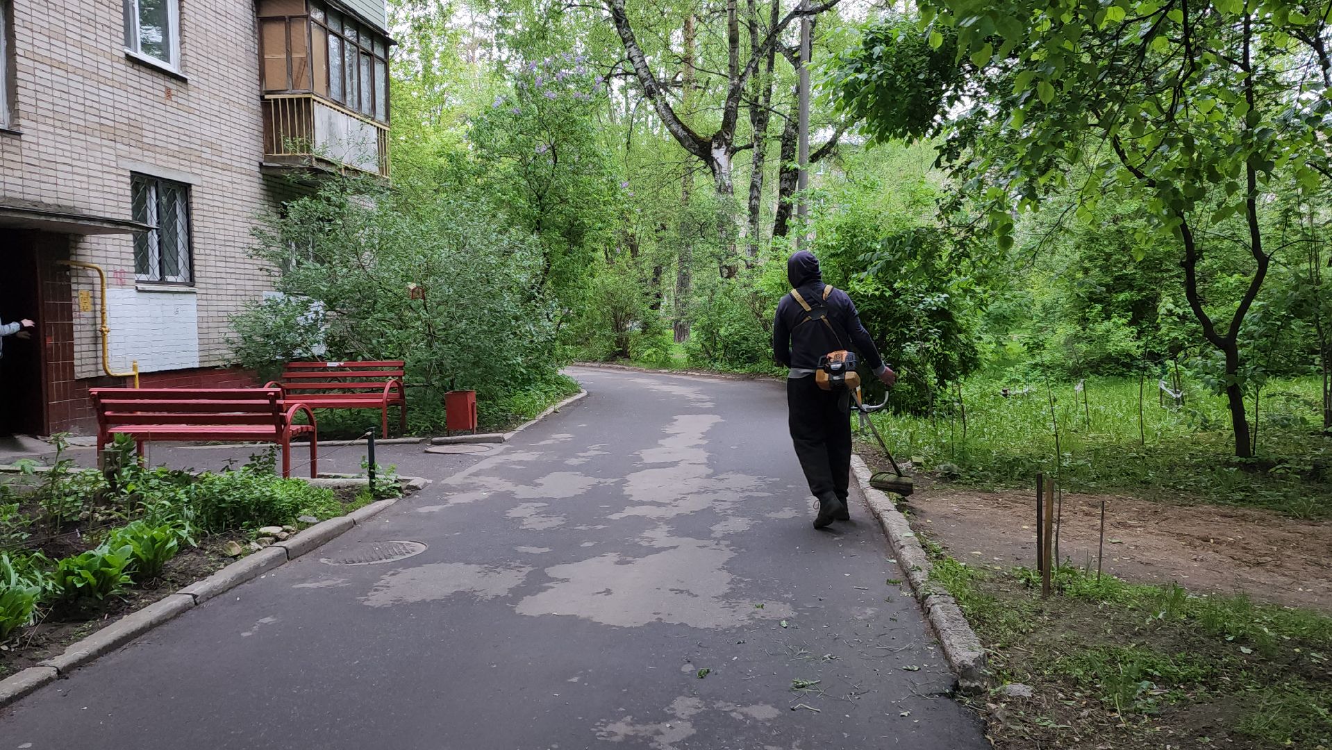 пушкинский округ, пушкино, вертикалки, покос травы, западный, микрорайон, коммунальная служба,