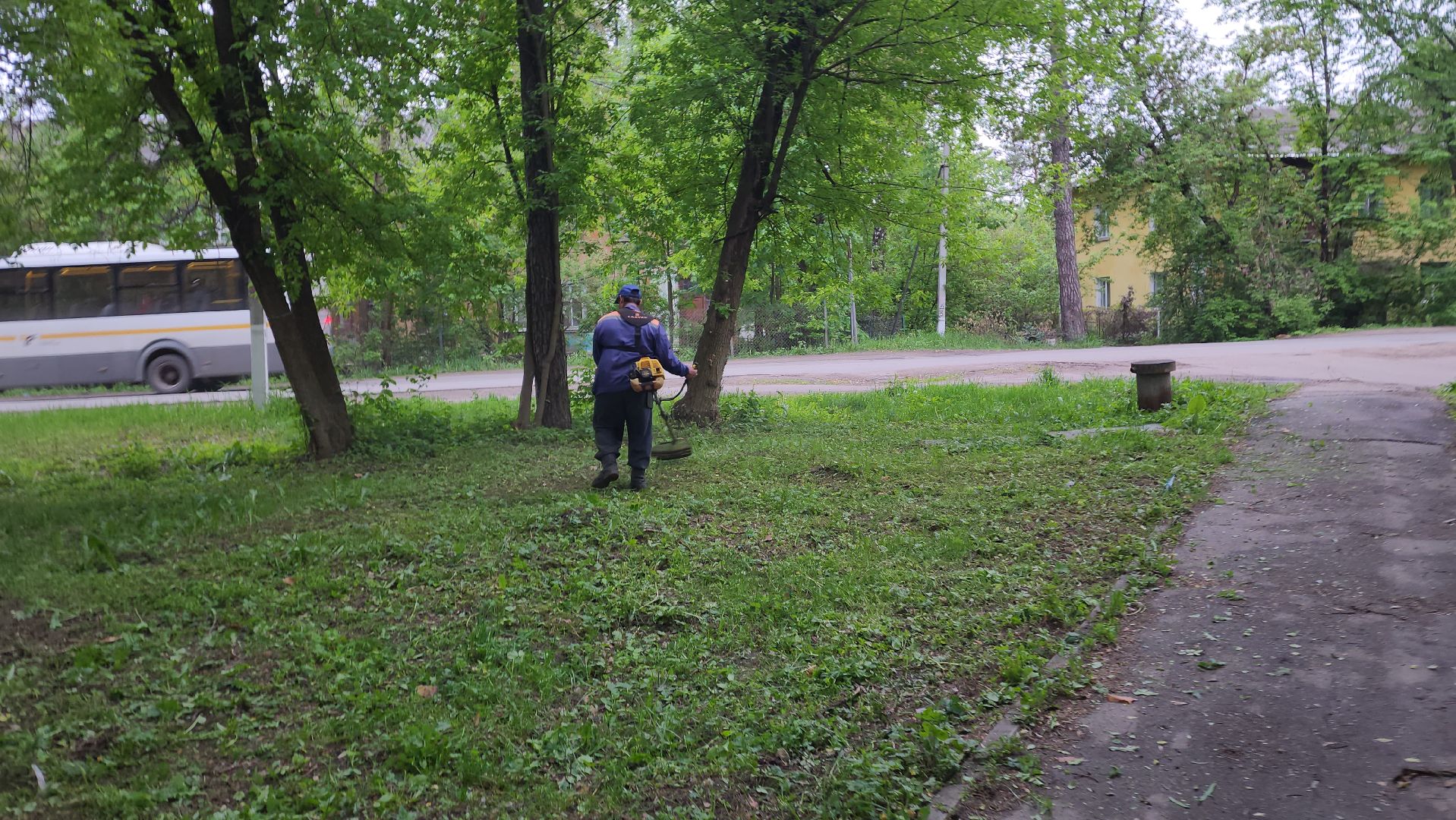 пушкинский округ, пушкино, вертикалки, покос травы, западный, микрорайон, коммунальная служба,