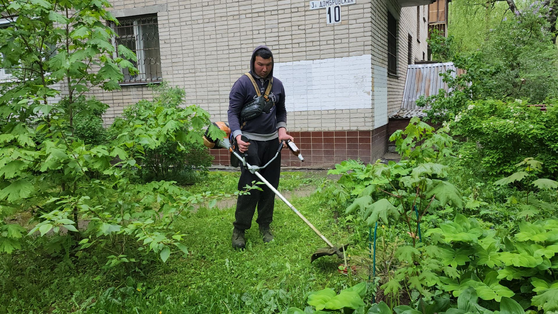 пушкинский округ, пушкино, вертикалки, покос травы, западный, микрорайон, коммунальная служба,