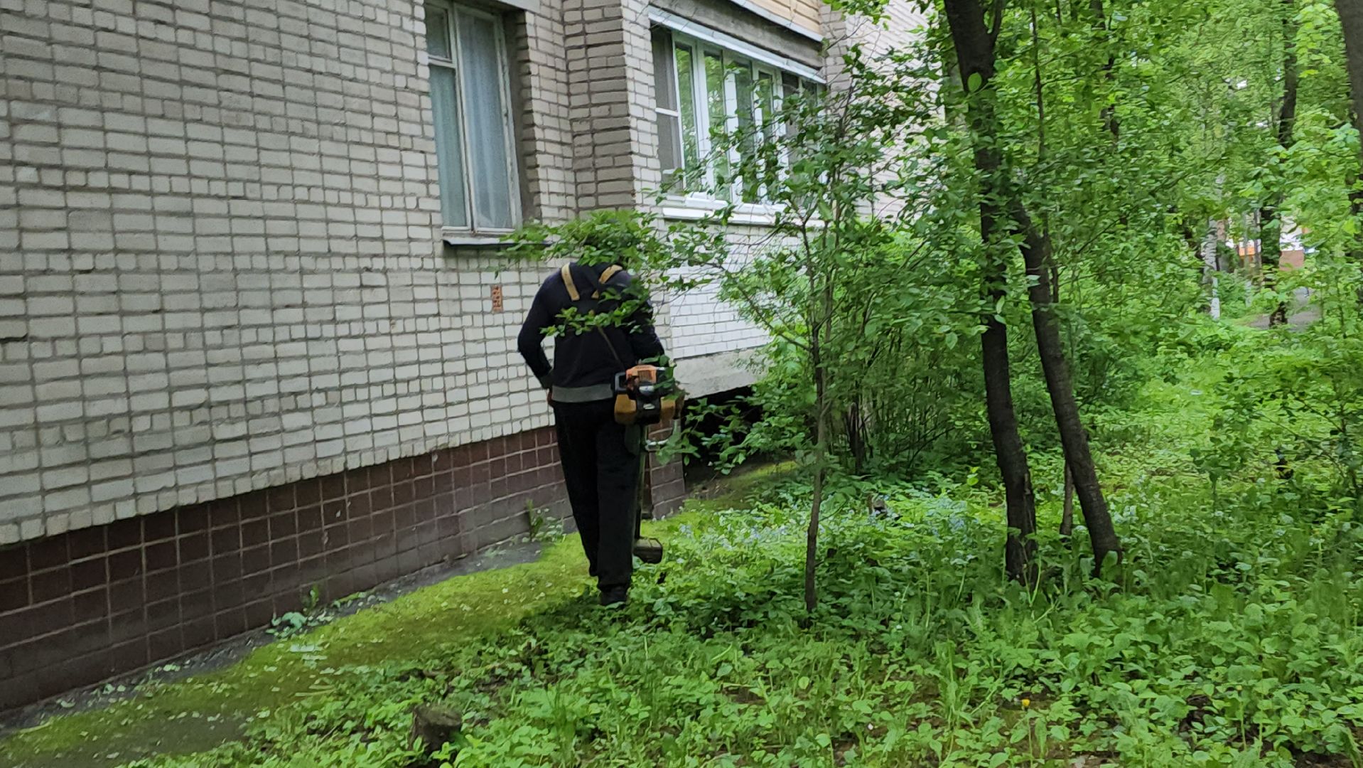 пушкинский округ, пушкино, вертикалки, покос травы, западный, микрорайон, коммунальная служба,