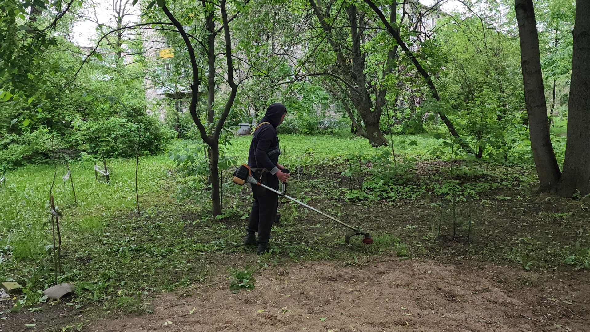 пушкинский округ, пушкино, вертикалки, покос травы, западный, микрорайон, коммунальная служба,