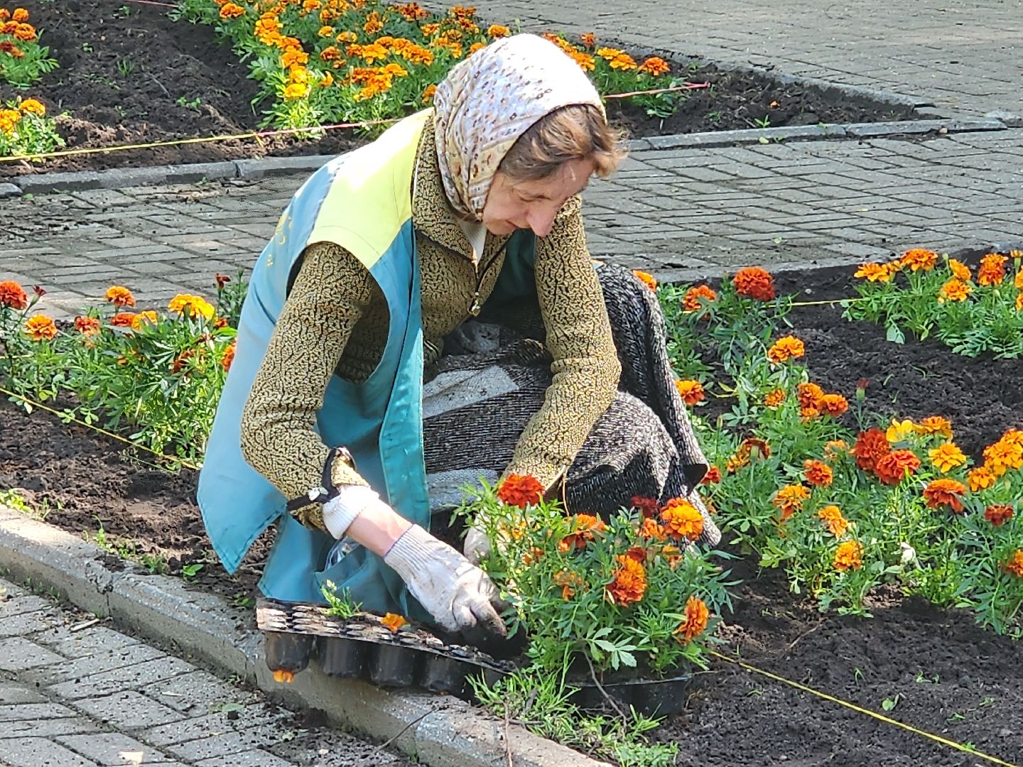 королёв,  благоустройство в королеве, горзеленхозстрой,