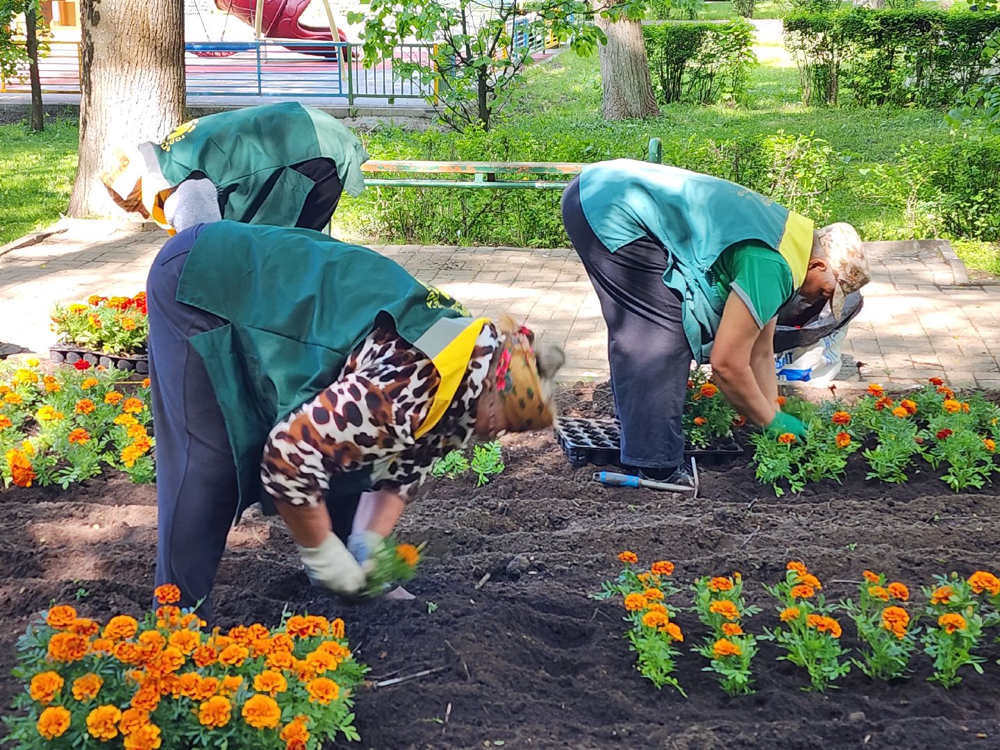 королёв,  благоустройство в королеве, горзеленхозстрой,