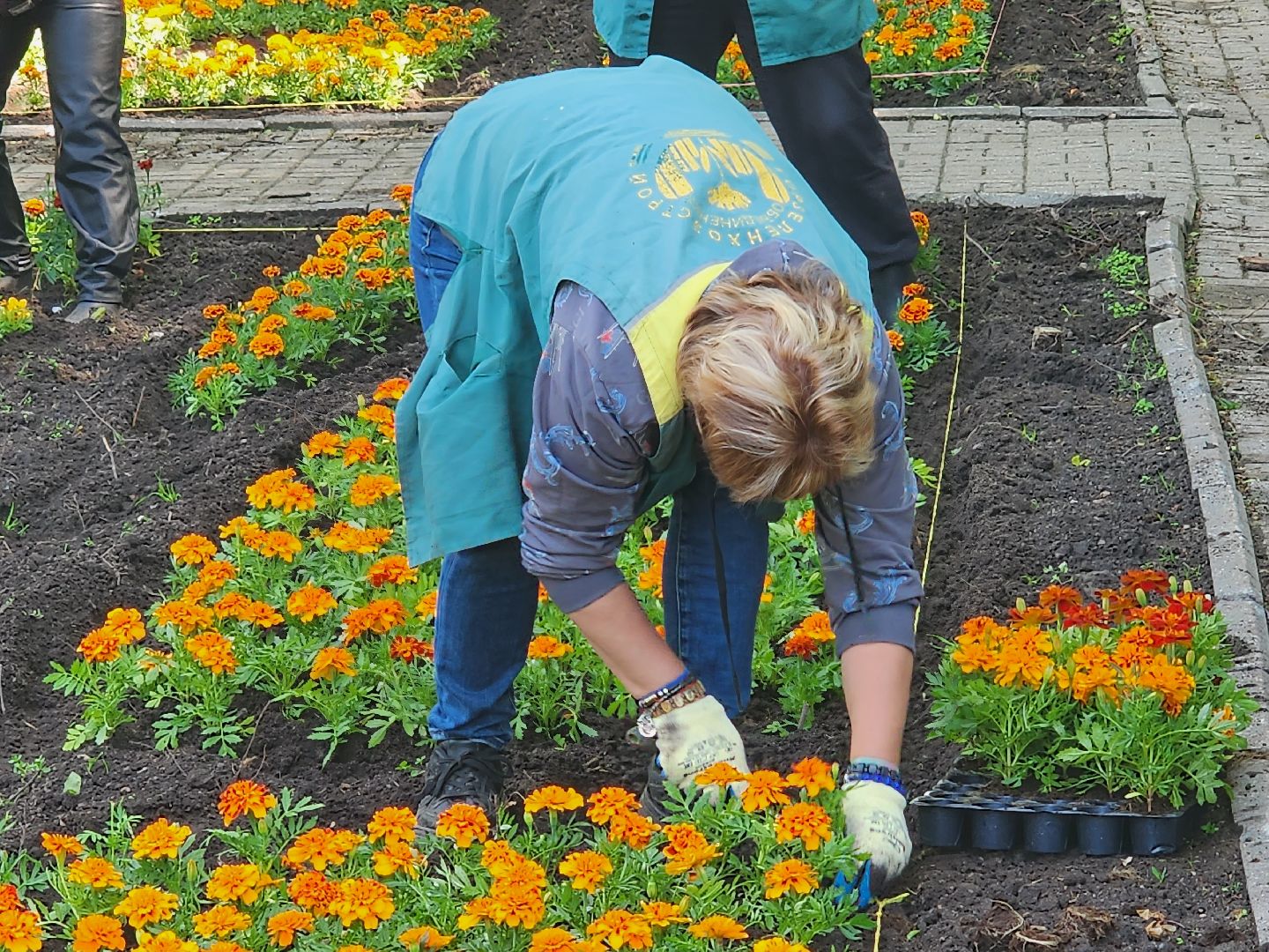 королёв,  благоустройство в королеве, горзеленхозстрой,