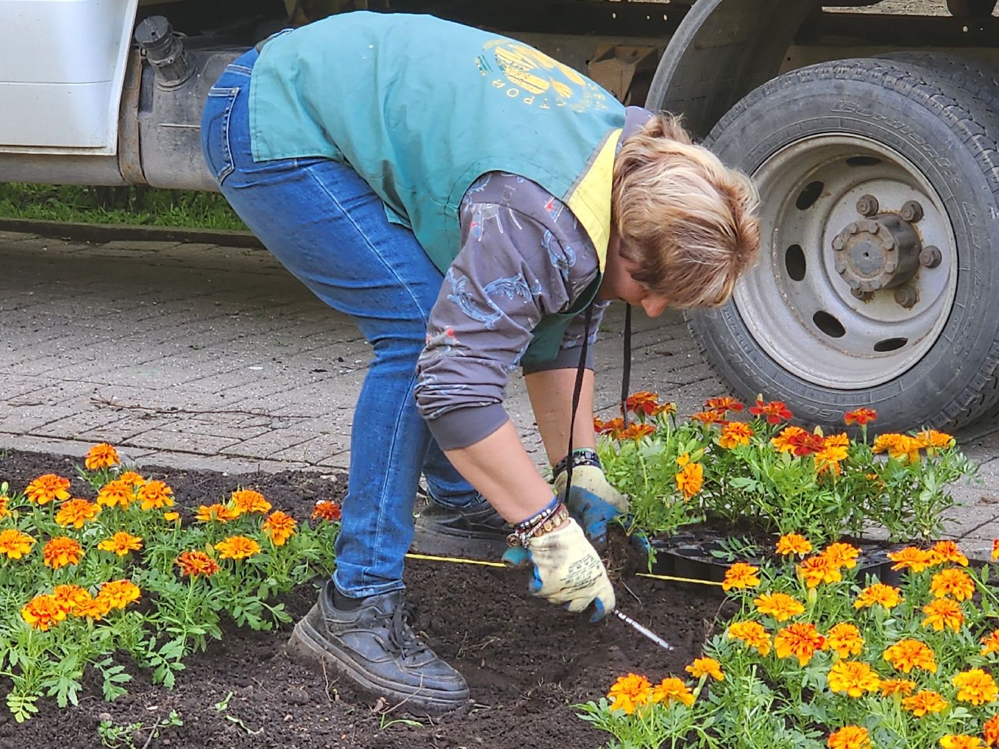 королёв,  благоустройство в королеве, горзеленхозстрой,