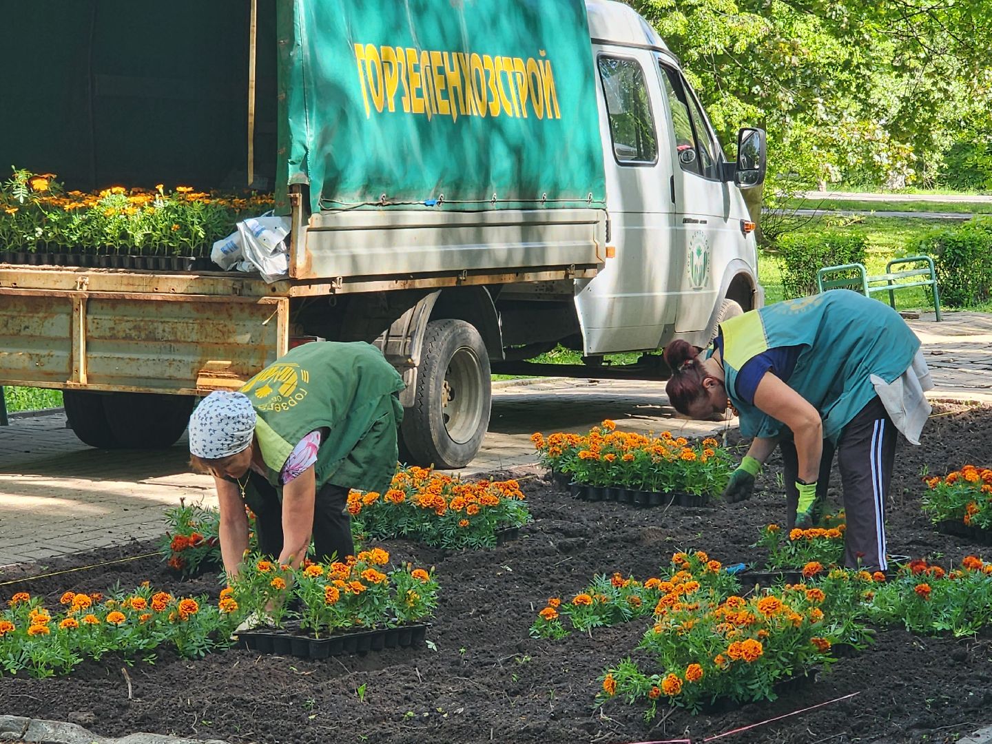 королёв,  благоустройство в королеве, горзеленхозстрой,