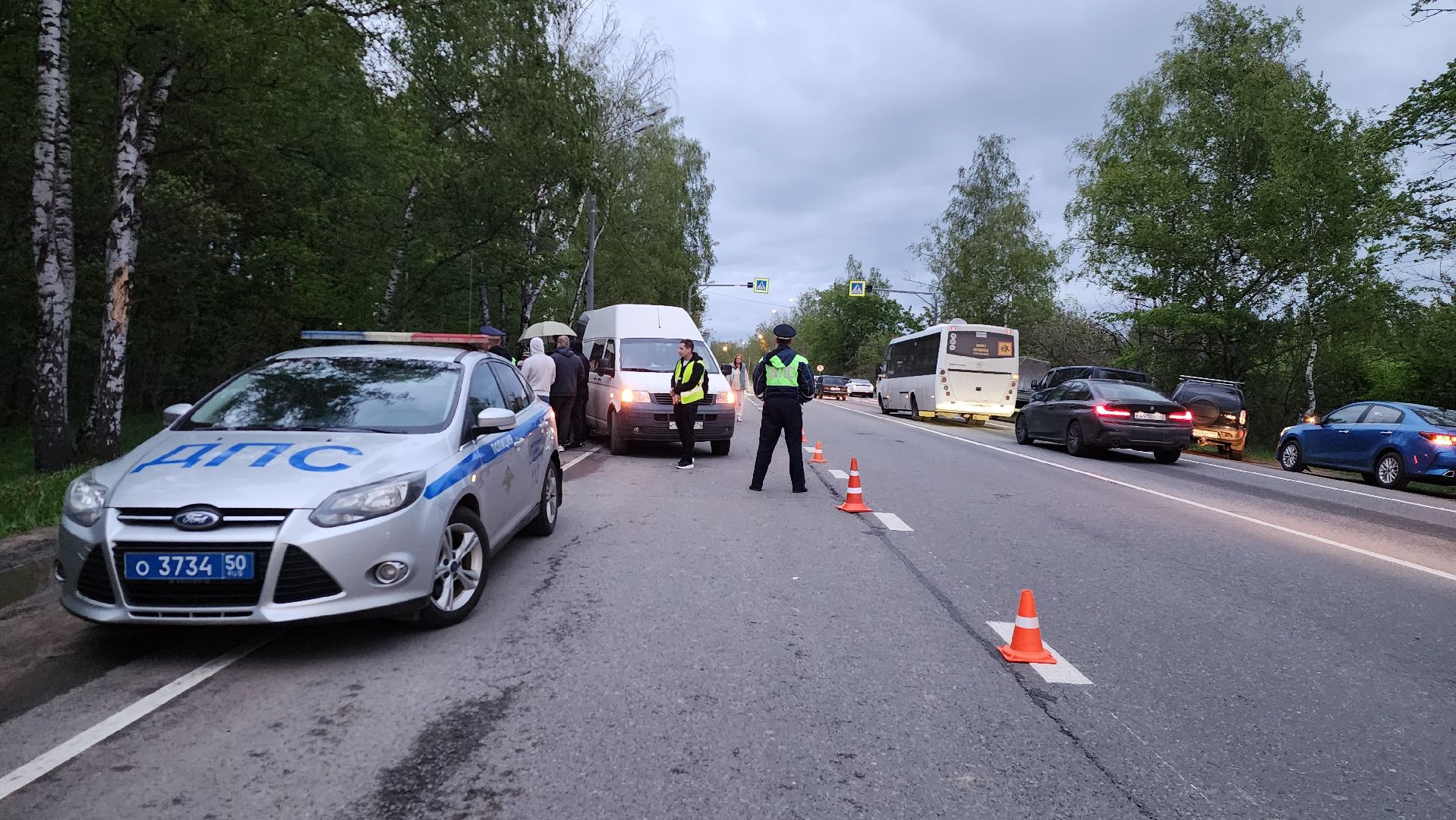 истра, лось, волонтеры,