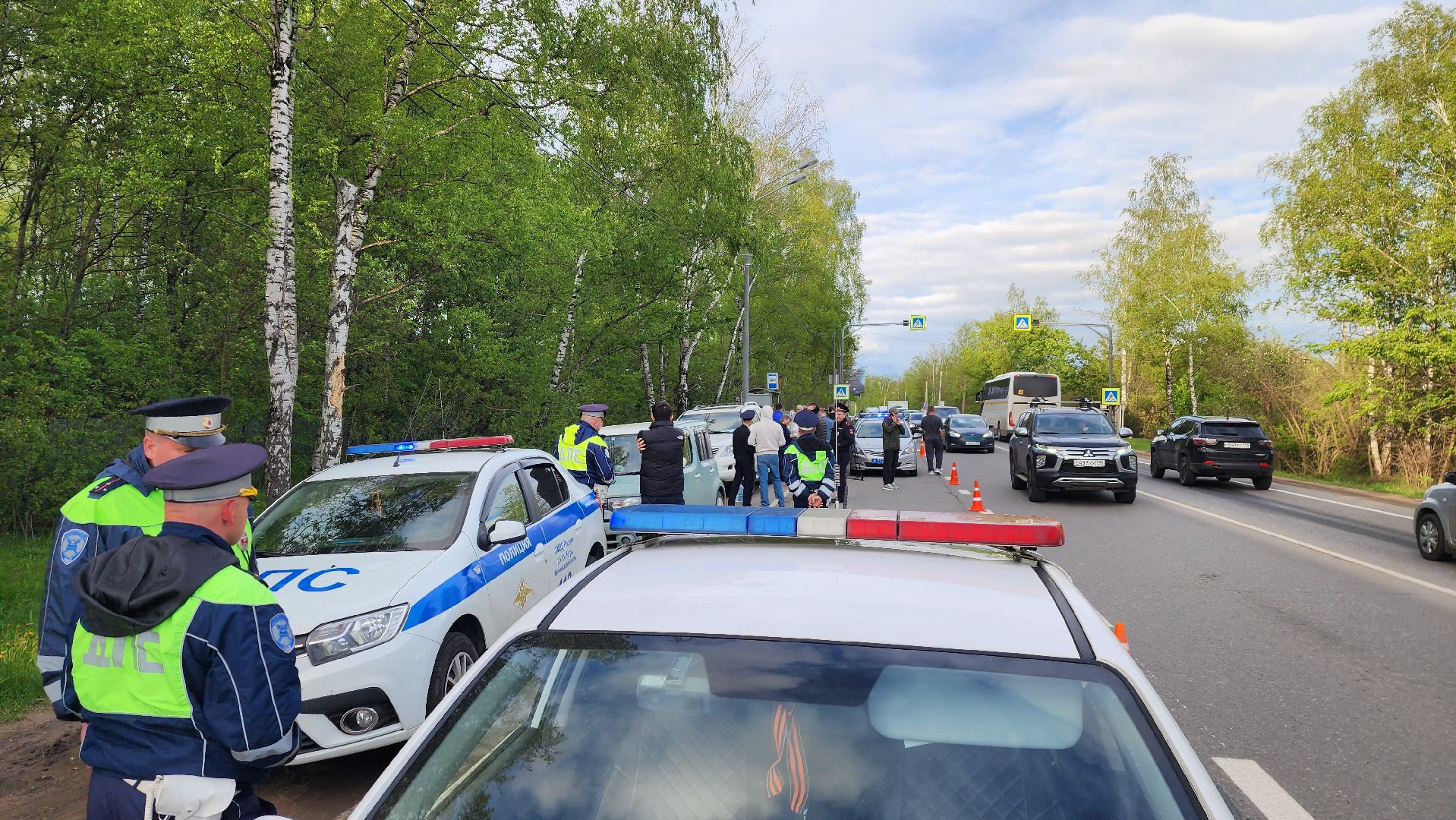 истра, лось, волонтеры,