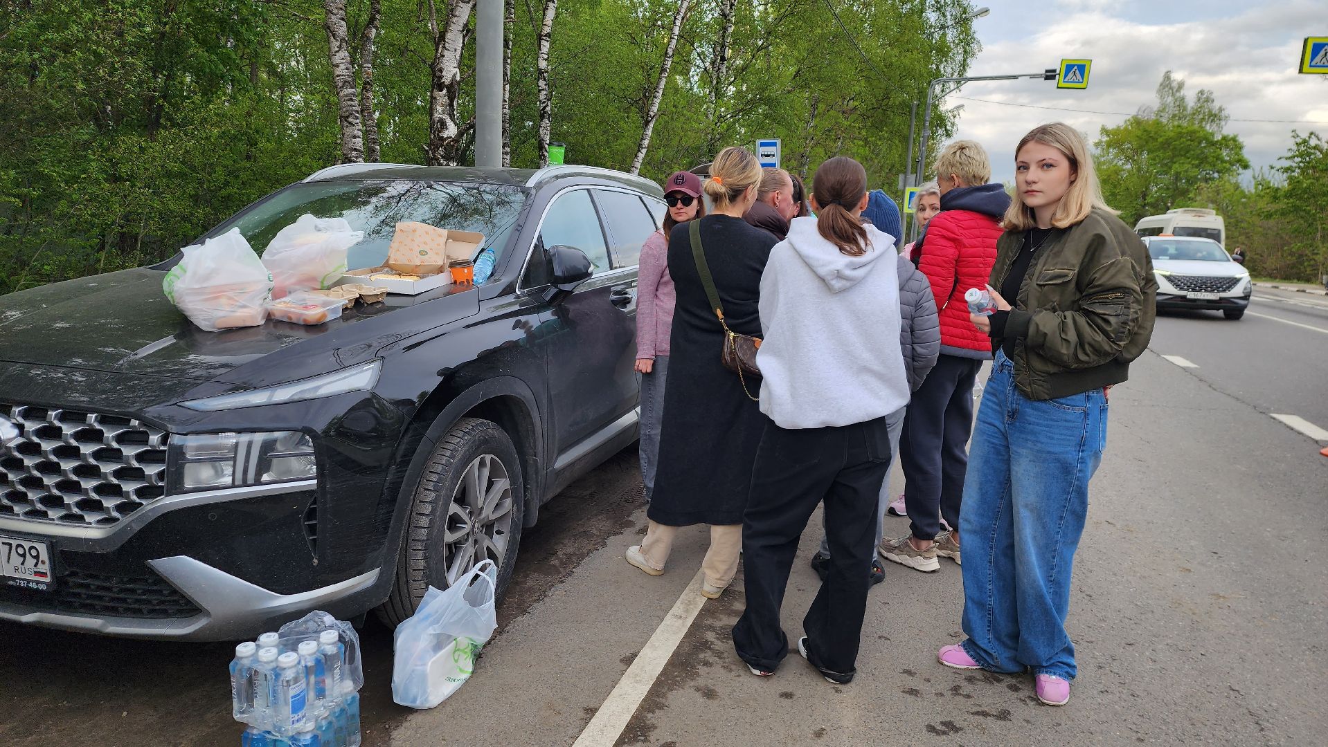 истра, лось, волонтеры,