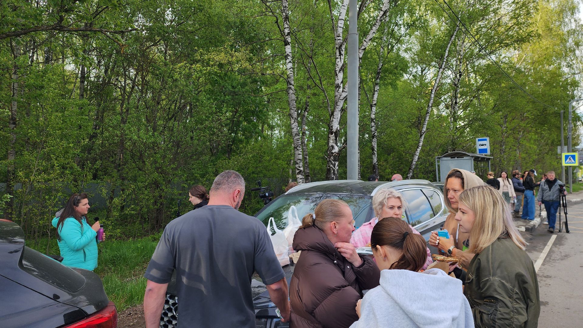 истра, лось, волонтеры,