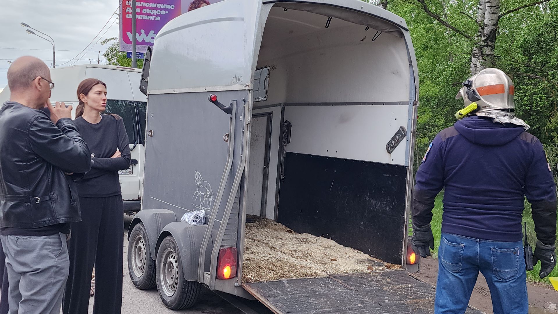 истра, лось, волонтеры,