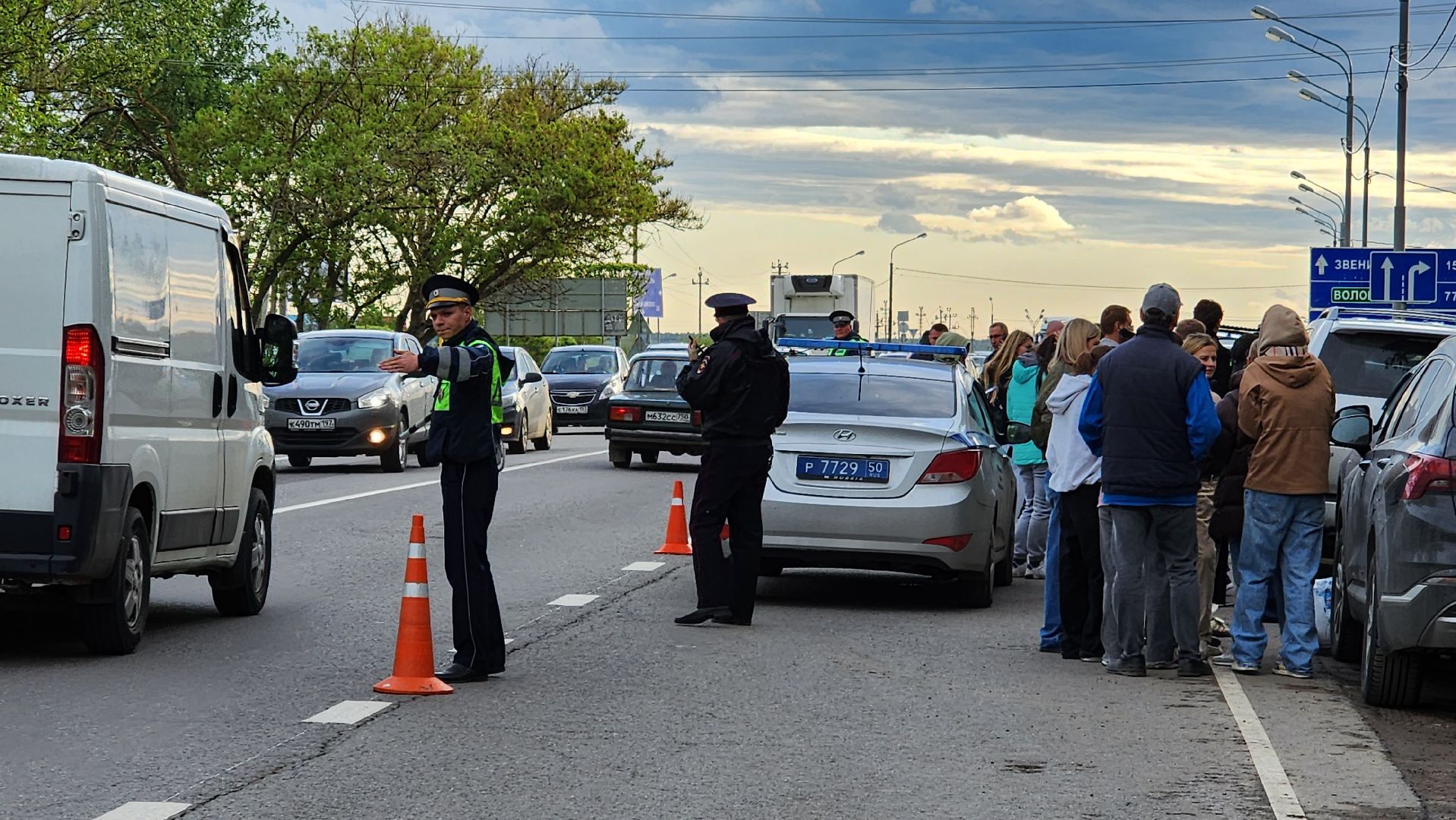 истра, лось, волонтеры,