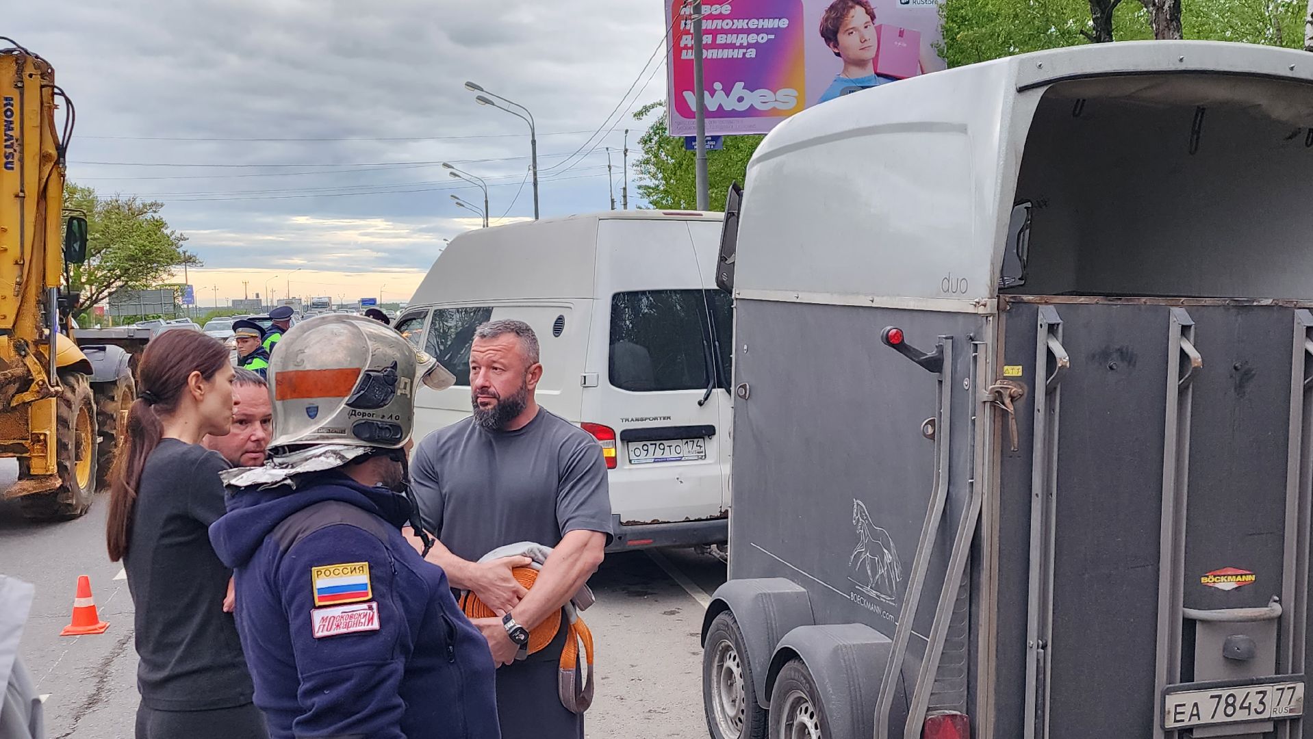 истра, лось, волонтеры,