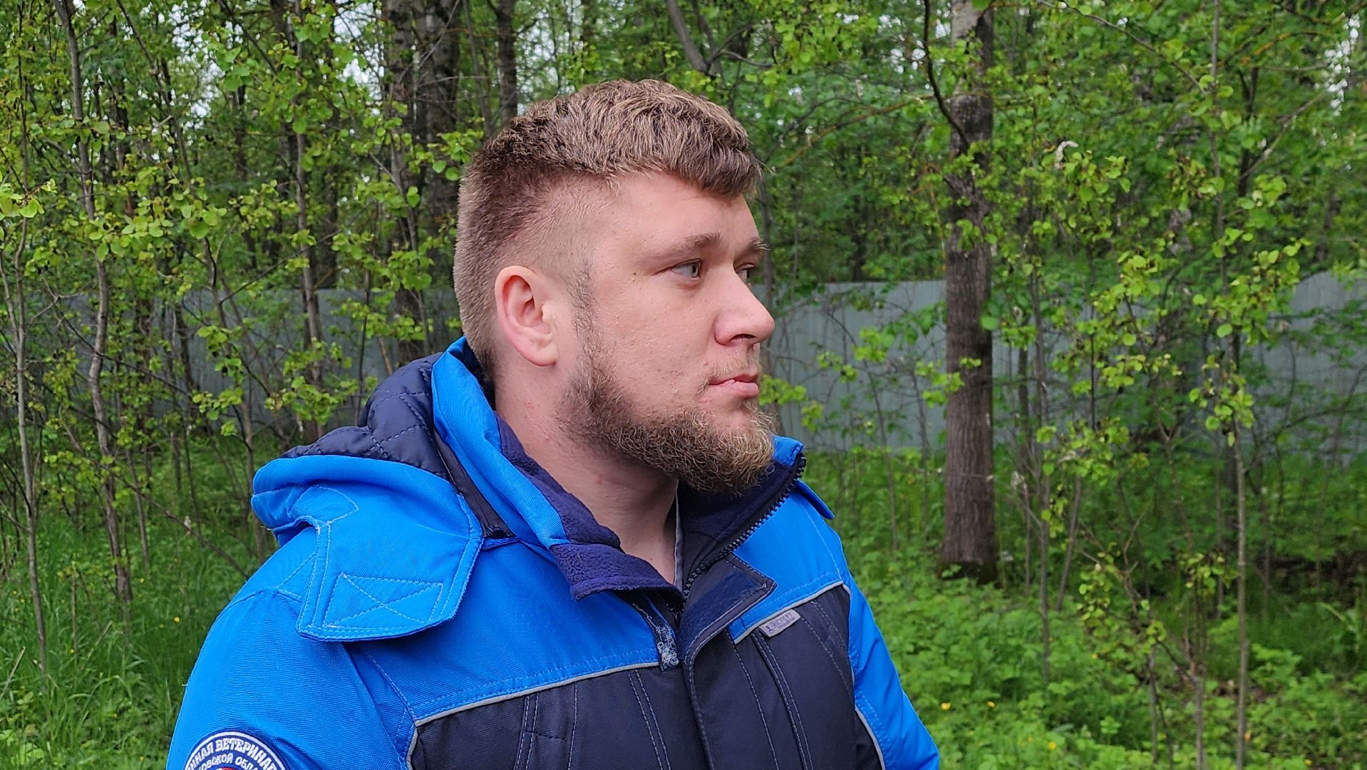 истра, лось, волонтеры,