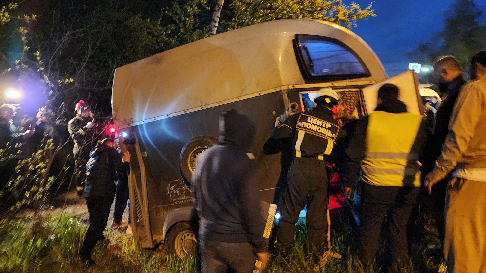 истра, лось, волонтеры,