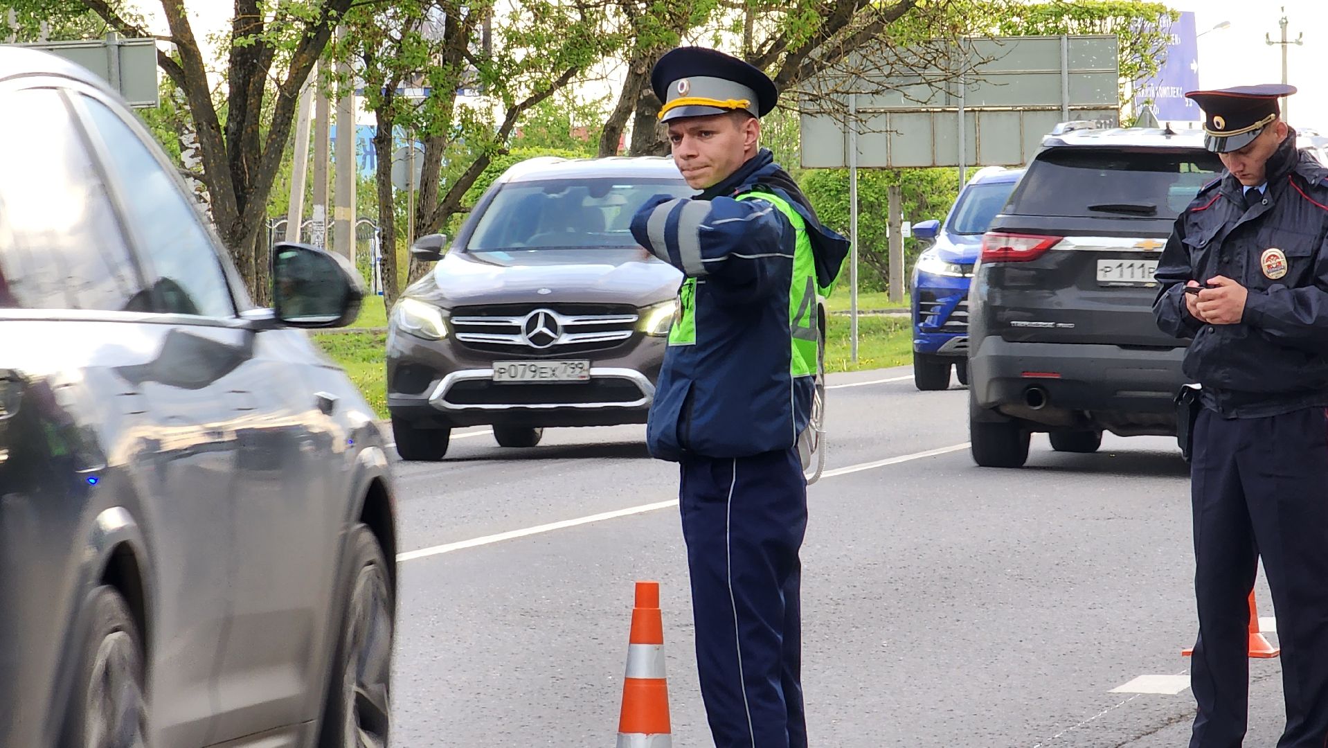 истра, лось, волонтеры,