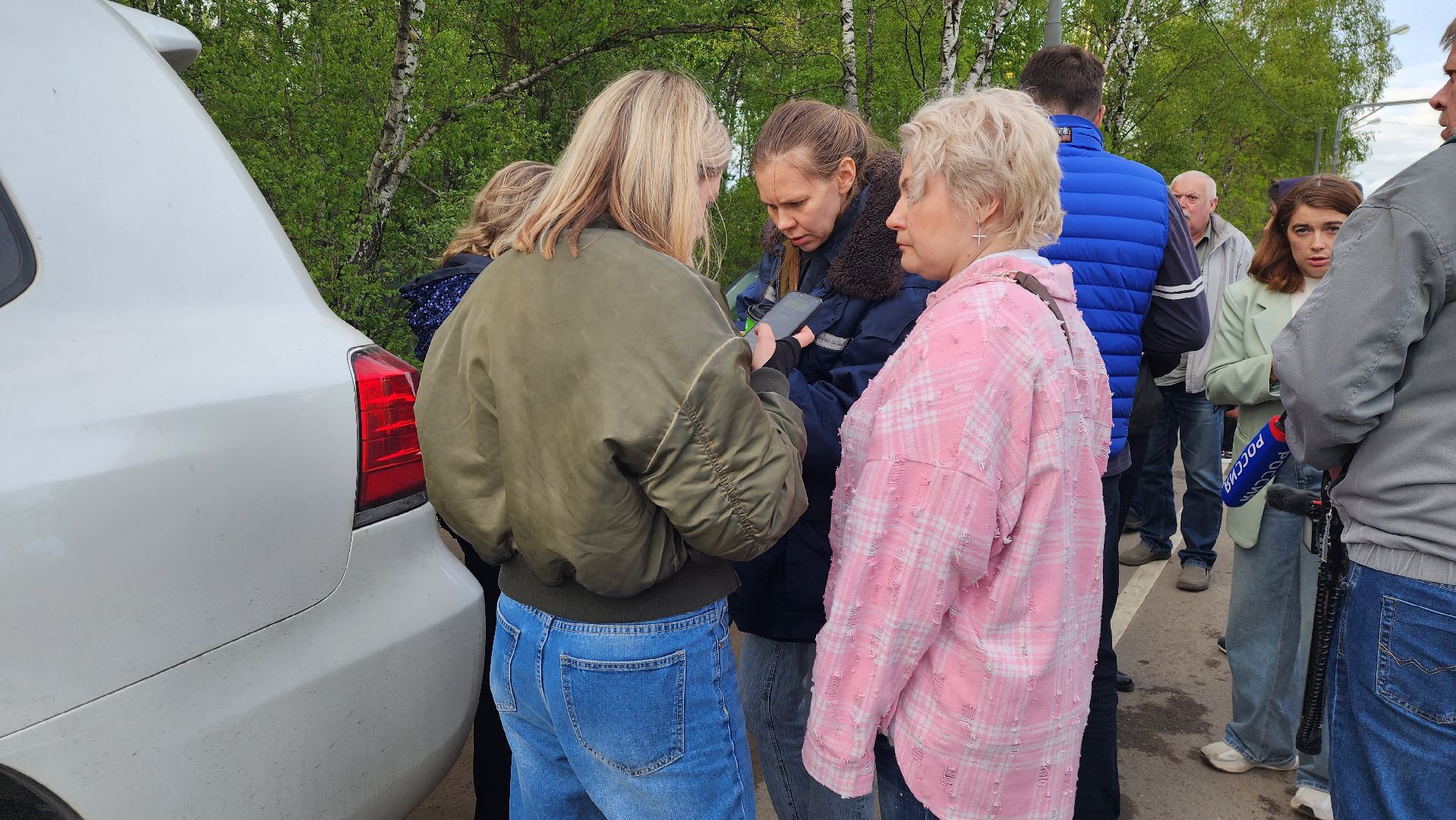 истра, лось, волонтеры,