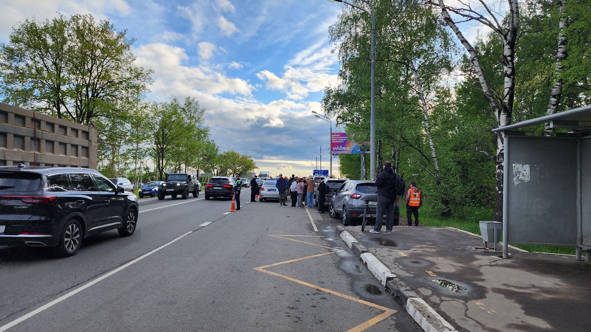 истра, лось, волонтеры,