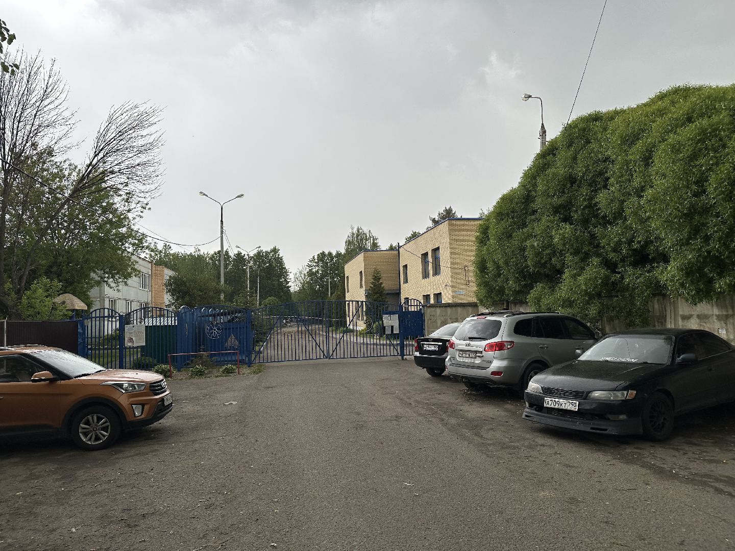 домодедово, обломки, бпла,