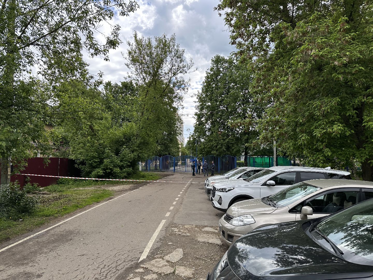 домодедово, обломки, бпла,